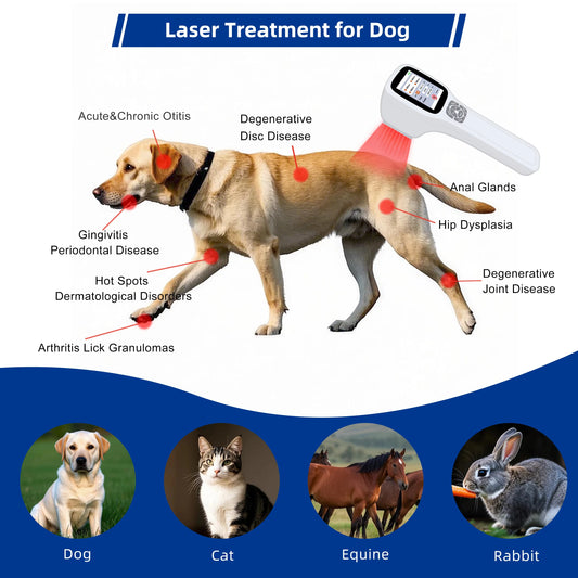 Pet Human Therapy Device 2500mW Handheld Portable for Dog Horse Injury Pain Relief Rehabilitation Care