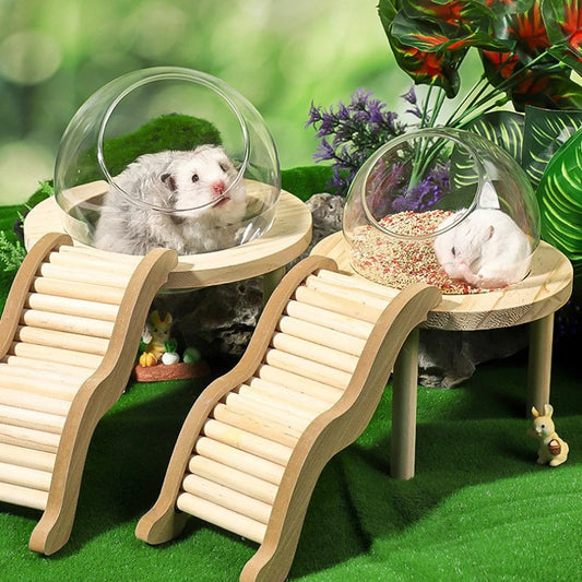 Hamster Bath House with Wooden Ladder Bridge Easy to Clean Climbing Toy Hamster Bathroom Glass Shower Container for Safe Bathing