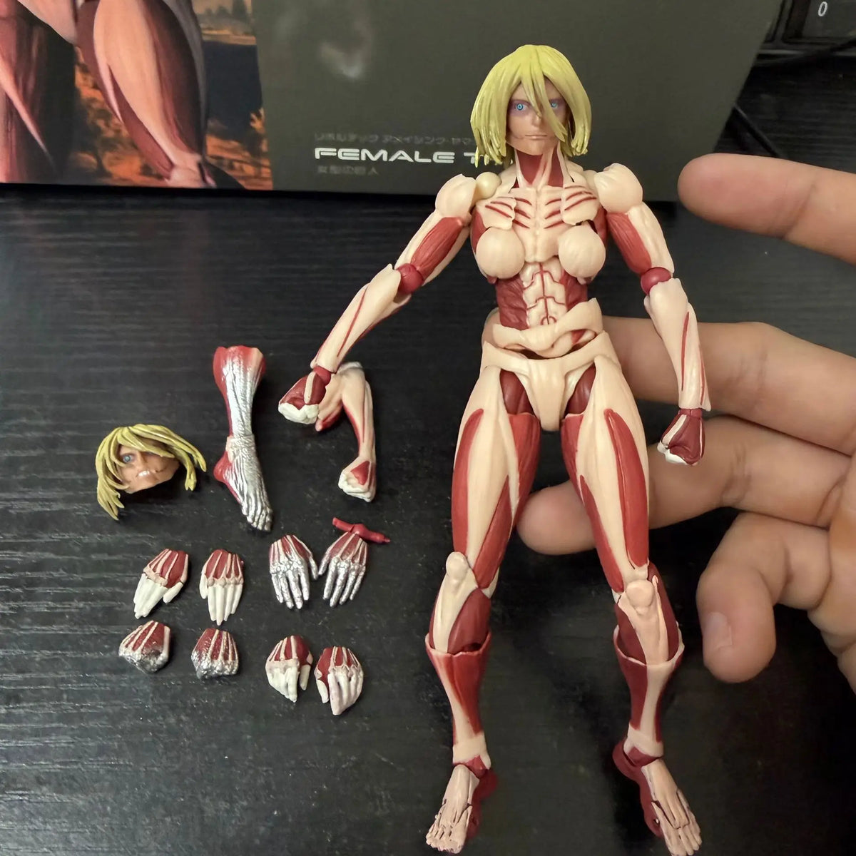 Kaiyodo Attack on Titan The Female Titan Annie Leonhart Revoltech Yamaguchi Anime Action Figures Figurine Ko Model Toys Gift