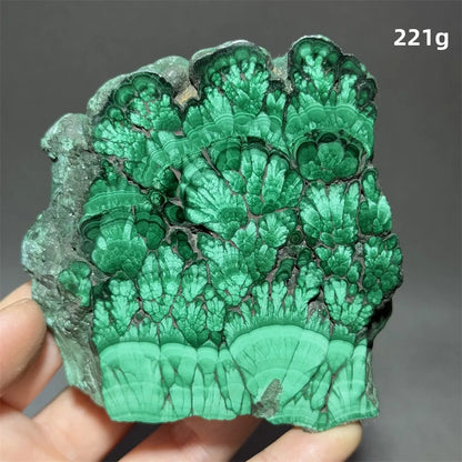 5A+ Natural Malachite Mineral Raw Stone Slice Home Office Feng Shui Decoration Therapy Spiritual Meditation Gem