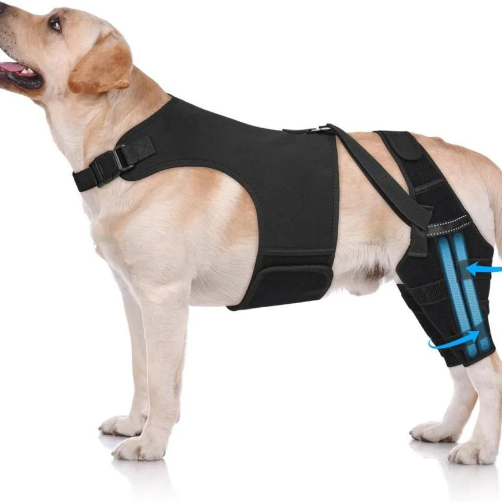 Adjustable Dog Knee Brace Anti-Licking Comfortable Fit Elbow Protection Cover Black with 4 Stabilizers Dog Rear Leg Brace