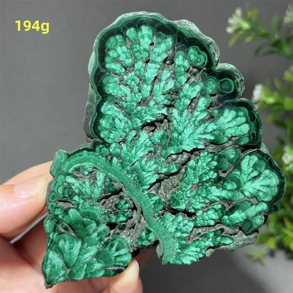 Natural High-Quality And Beautiful Malachite Slate Mineral Raw Stone Therapy Meditation Prayer Energy Home Decoration+Bracket