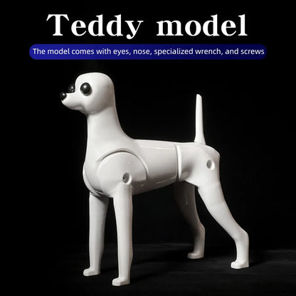 Teddy Pet Simulation Hair Beauty Fake Beautician Practicing Dog Standard Teddy Full Body Fake Head, Skeleton Model, Pet Groomer