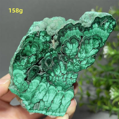 Natural High-Quality And Beautiful Malachite Slate Mineral Raw Stone Therapy Meditation Prayer Energy Home Decoration+Bracket