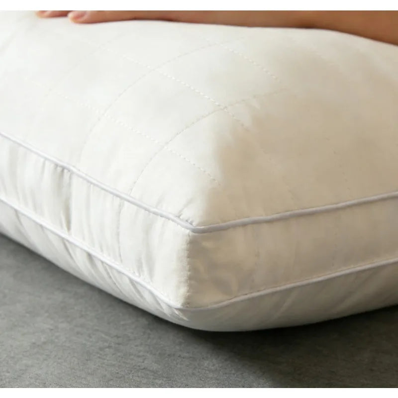 1200G Luxury Mulberry Silk Pillow 48x74cm Hypoallergenic Sleeping Pillow Comfortable Cotton Shell Hotel High Quality Bed Pillows