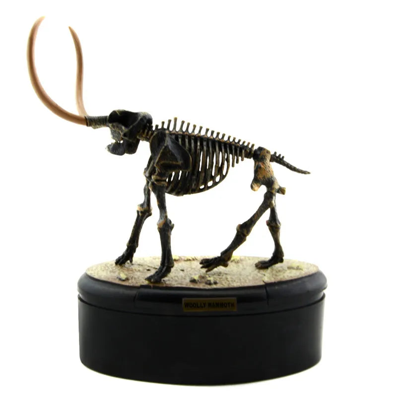Dinosaur Skeleton Fossil ABS Assembly Dinosaurs Toys Model Building Kits Collection Jurassi Park T-rex Skull Decoration Crafts