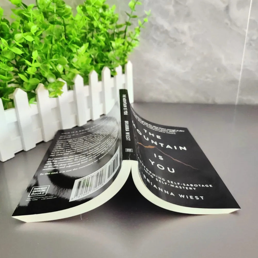 The Mountain Is You English Book Self Transformation Psychology Self Help Reading Book Inspirational Self Growth Novel