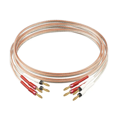 YYTCG Hifi Speaker Cable with Banana Plug for Home Theater Amplifier Surround Sound System Gold plated Banana Audio Cable