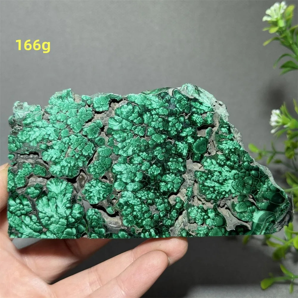 Natural High-Quality And Beautiful Malachite Slate Mineral Raw Stone Therapy Meditation Prayer Energy Home Decoration+Bracket