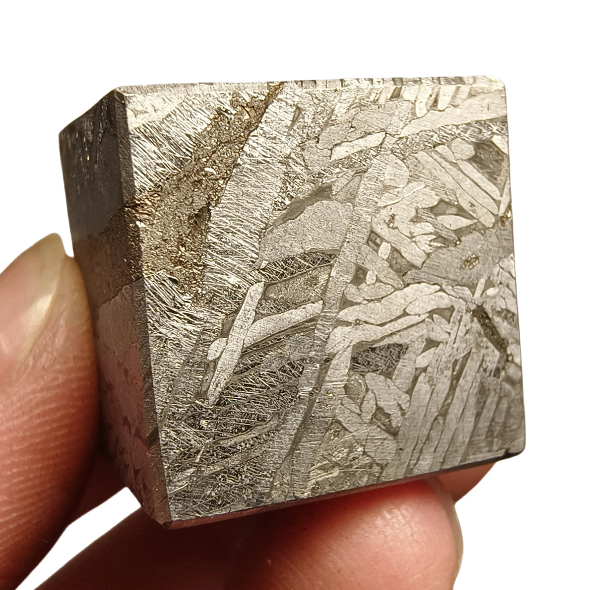 Genuine Muonionalusta Meteorite Slice Sweden Iron Meteorite with Widmanstätten Pattern Natural Cosmic Collection Jewelry