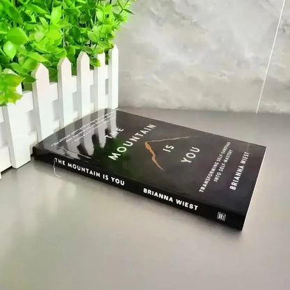 The Mountain Is You: Transforming Self-Sabotage Into Self-mastery English Books Birthday Gifts books book
