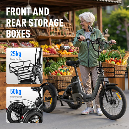 Electric Tricycle 750W Motor 48V 20AH Remover Lithium Battery Foldable 3 Wheel Electric Bike 16 Inch Fat Tire 100km Ebike