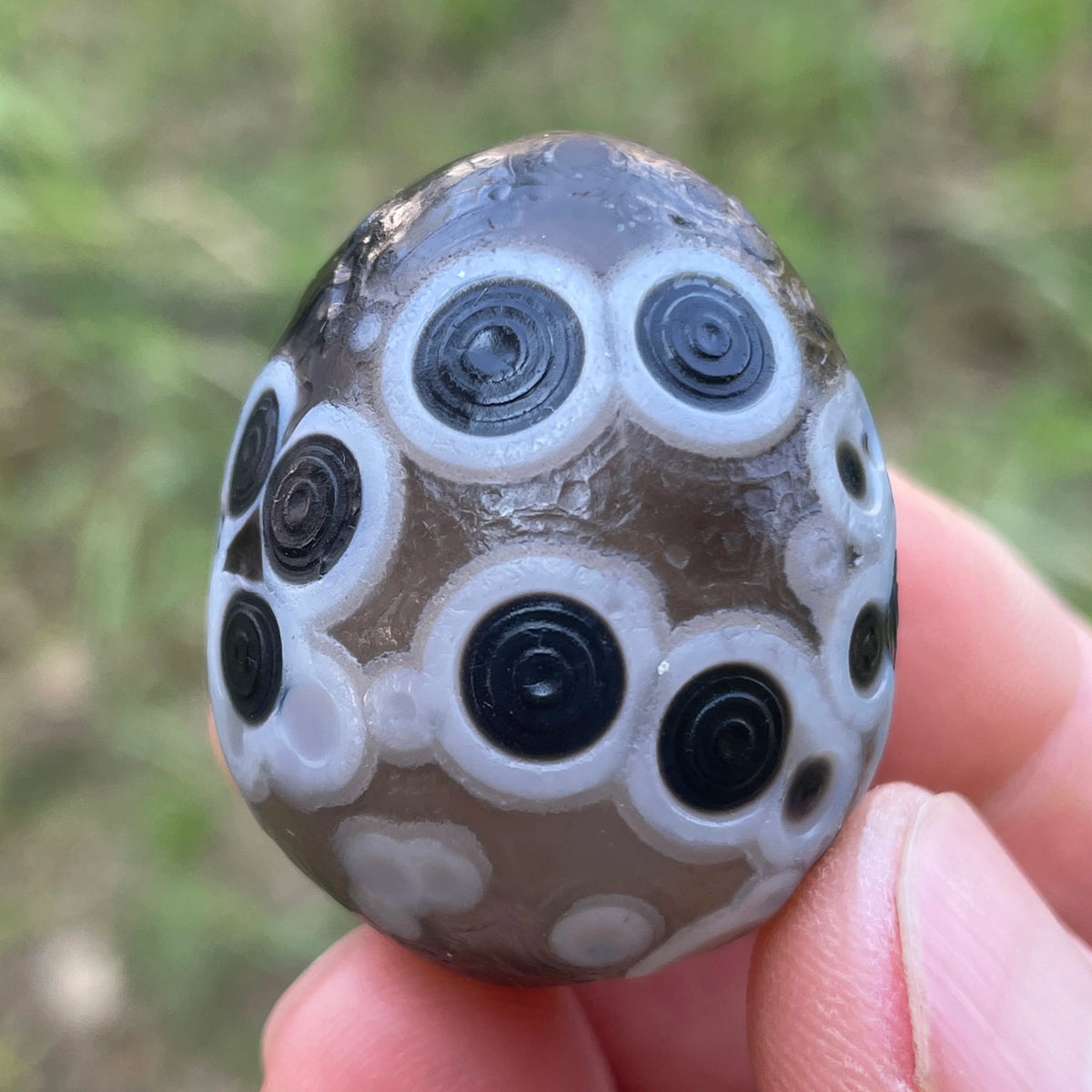 Natural Sardonyx Black Agate Alxa Gobi Eye Rock Mineral Specimen Energy Crystal Chakra Reiki Healing Stone Garden Decor DD1-8