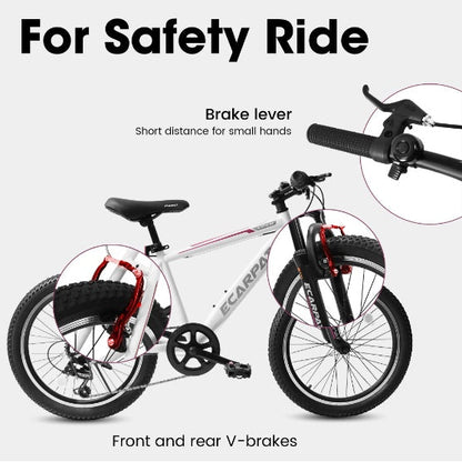 Mountain Dirt Bikes 20inch