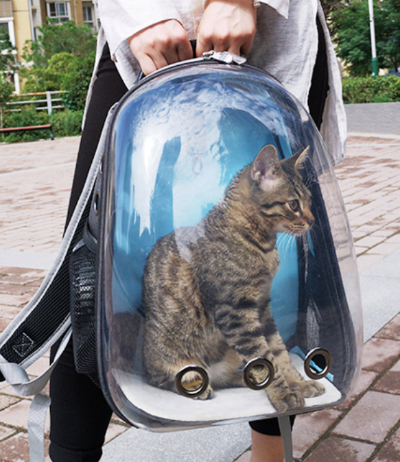 Transparent Case Cat Pet Carrier Travel Bag PC and Oxford clothing 33 x 28 x 44 cm
