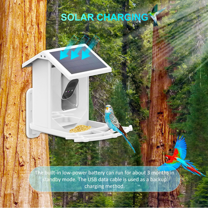 Solar powered bird Feeder with Camera