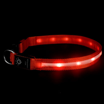 LED Waterproof Night cat dog Pet Collar with Lighting USB