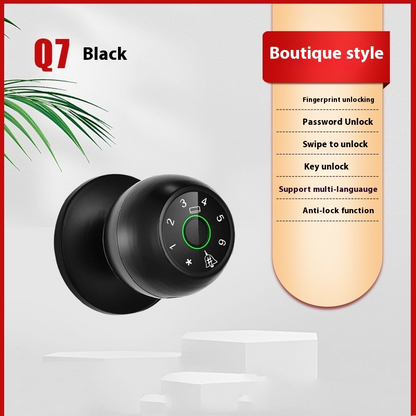 Home door Smart Lock hardware secure access supports up to 100 fingerprints passwords cards
