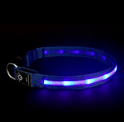 LED Waterproof Night cat dog Pet Collar with Lighting USB