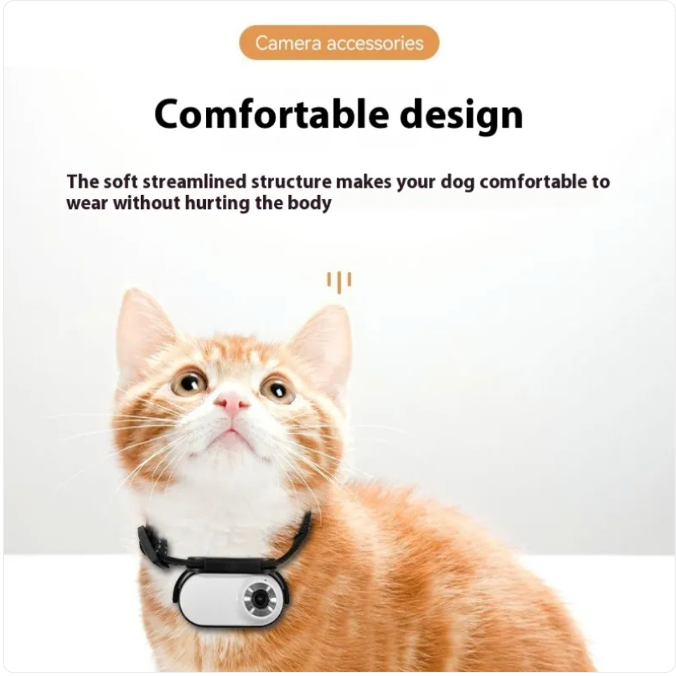 Pet Collar Camera support SD card recording USB charge