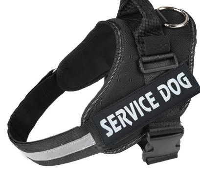 Service dog Pet Dog Harness with Leash