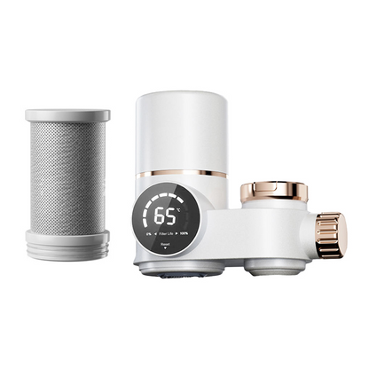 Electric  Water Purifier