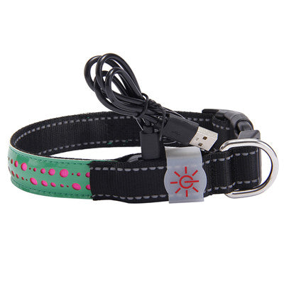 LED Light-Up dog Pet Collar multi color
