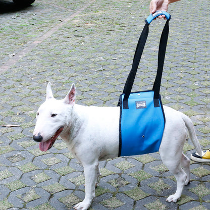 Dog Leg Injury Protection Walking Belt for Pets multi sizes