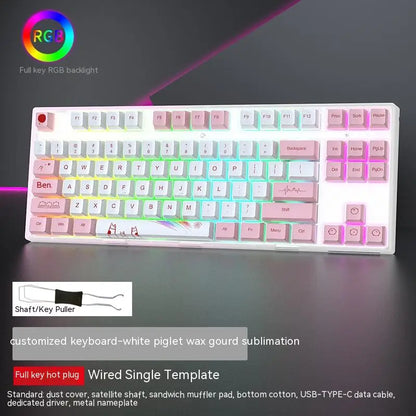 Swappable Axis Gaming Mechanical Keyboard 87 key USB RGB backlight