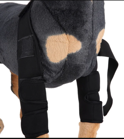 Dog Knee Brace and Leg Protector for Injury Recovery Multi sizes