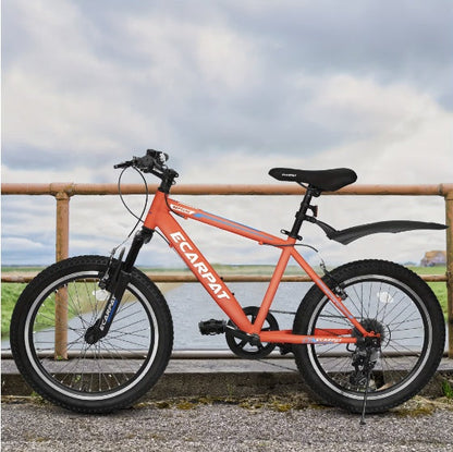 Mountain Bikes 20 Inch