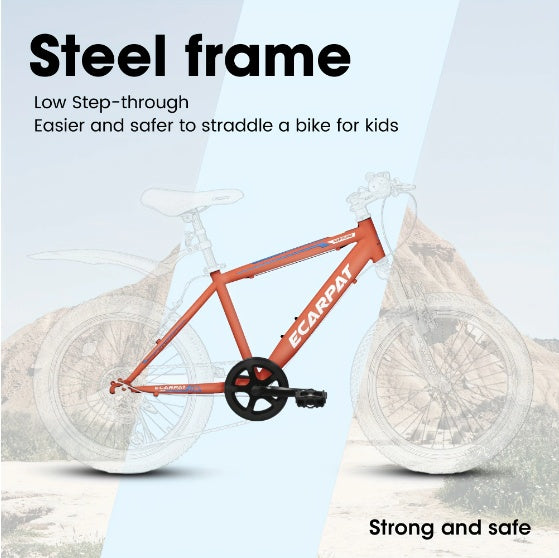 Mountain Bikes 20 Inch