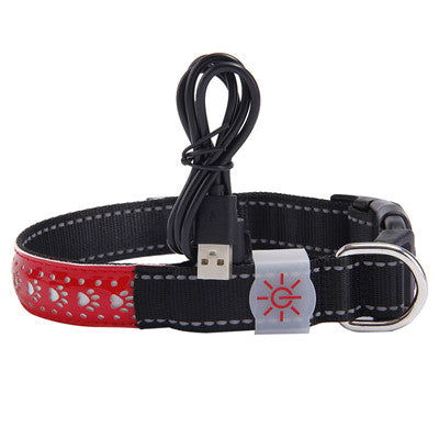 LED Light-Up dog Pet Collar multi color