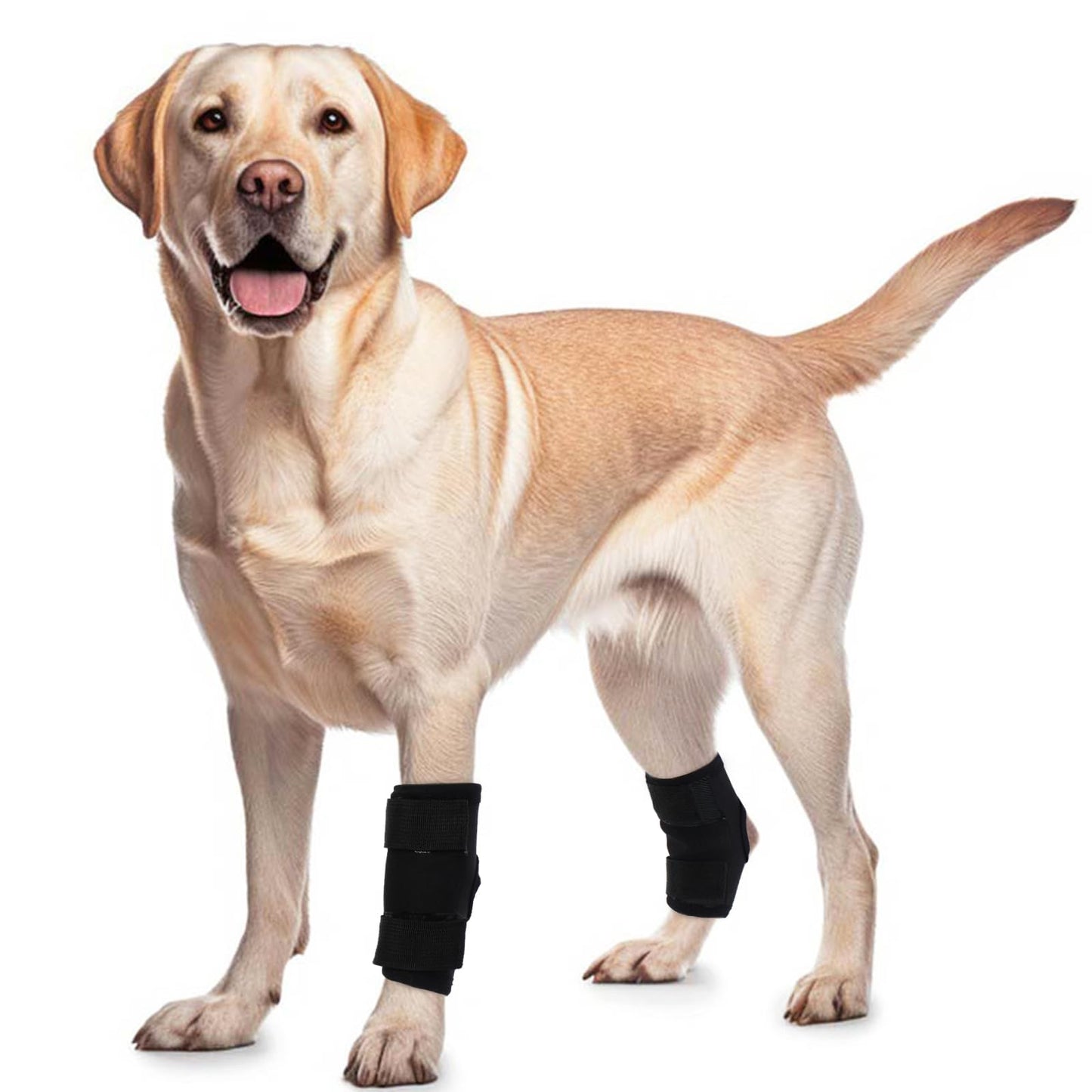 ROZKITCH Dog Leg Protector for Rear Hock Joint or Front Leg Brace 1 Pair of Dog Leg Compression Wrap Sleeve for Anti Licking Carpal Support Ankle Support Protect Injury Sprain Torn ACL CCL Black M