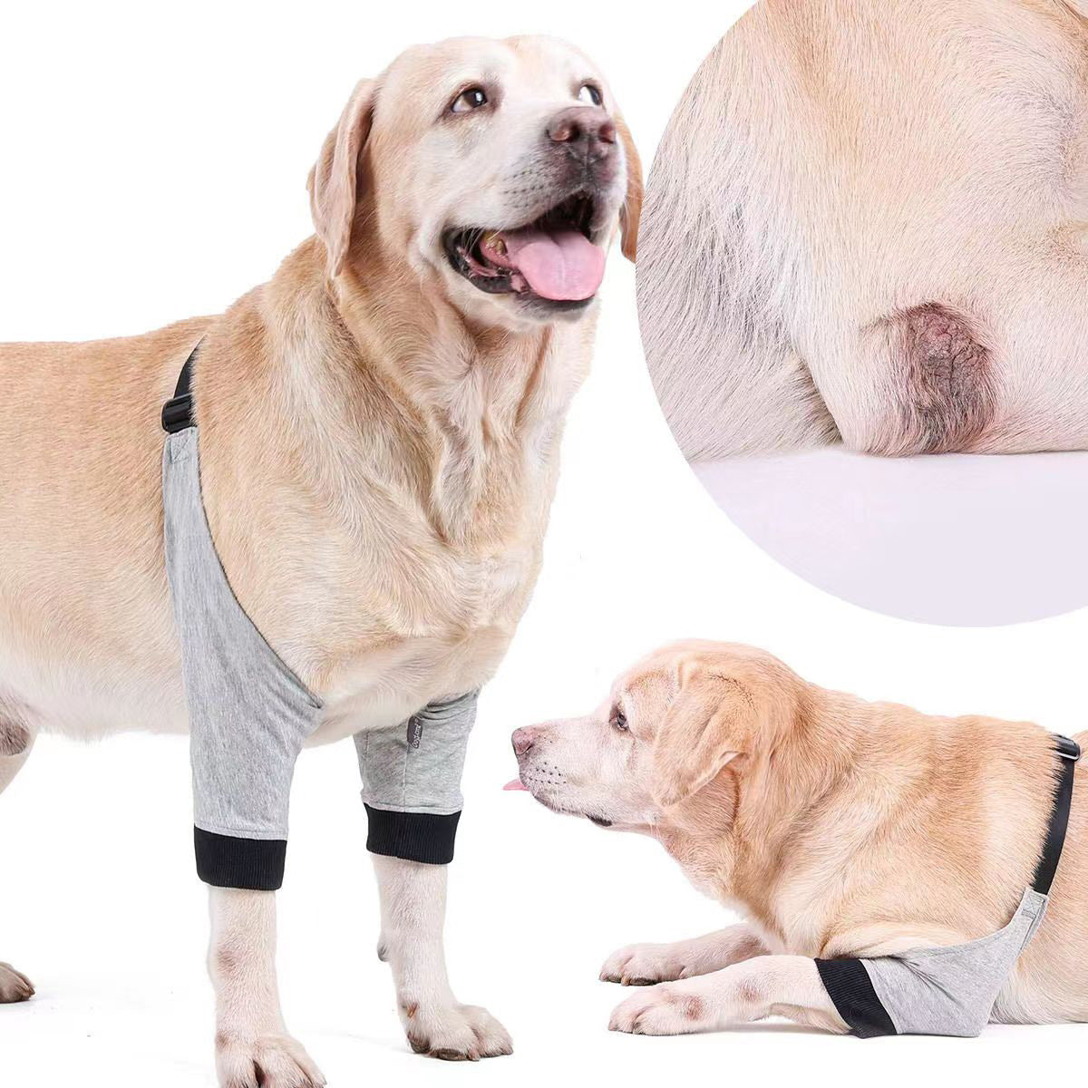 Dog Injury Protection Sleeve for Pets - Joint and Knee Guard Multi sizes