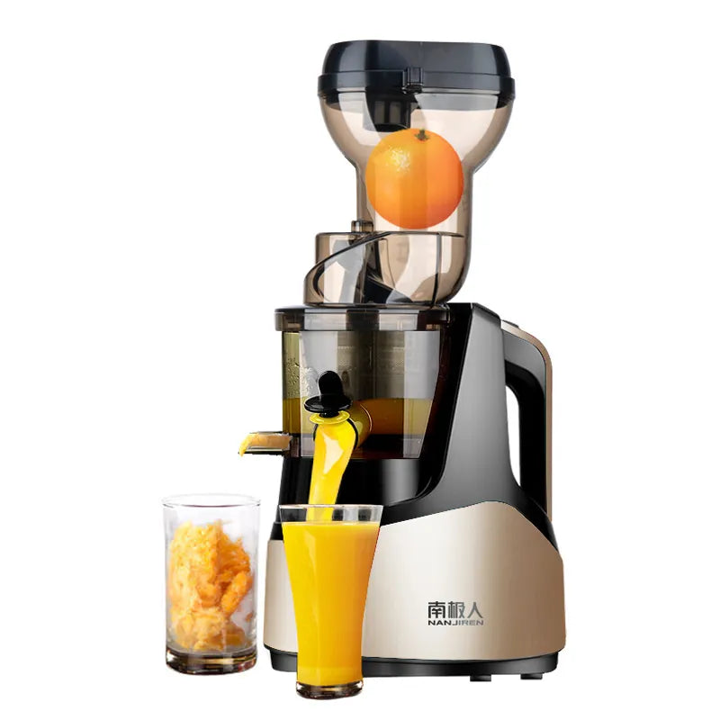 Electric Juicer