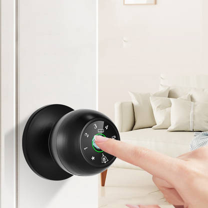 Home door Smart Lock hardware secure access supports up to 100 fingerprints passwords cards