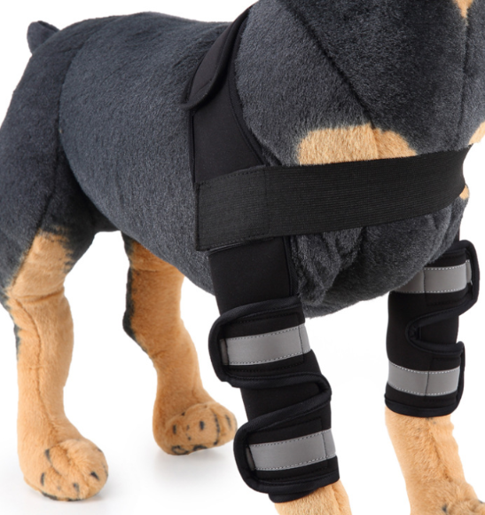 Dog Knee Brace and Leg Protector for Injury Recovery Multi sizes