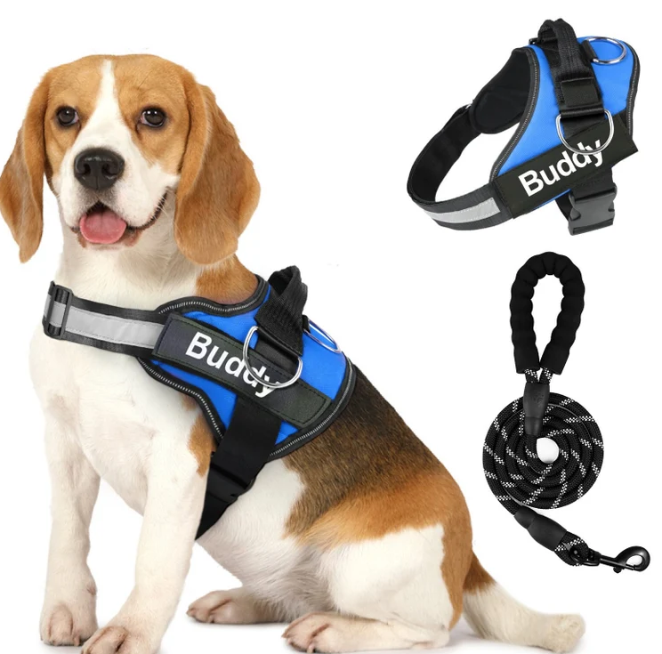 Service dog Pet Dog Harness with Leash