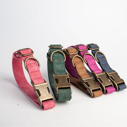 Comfortable Leather Engraved Pet dog Collar