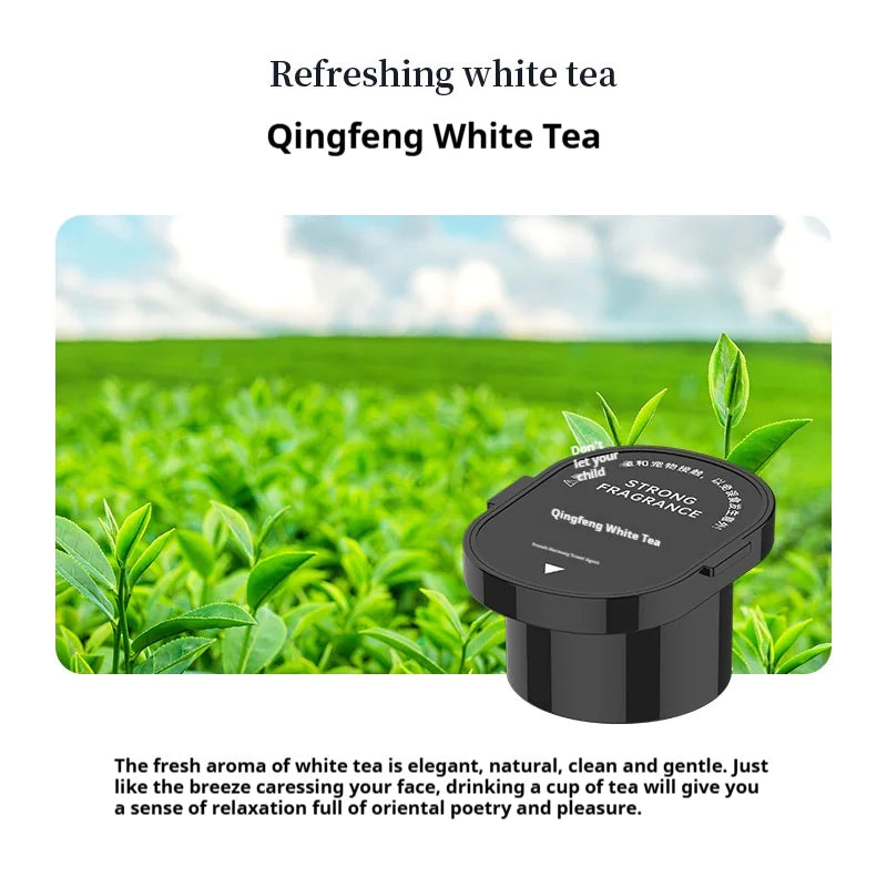 Car Air Freshener / Aromatherapy Ornament
